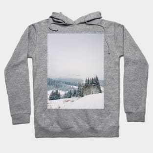 winter snowing scene Hoodie